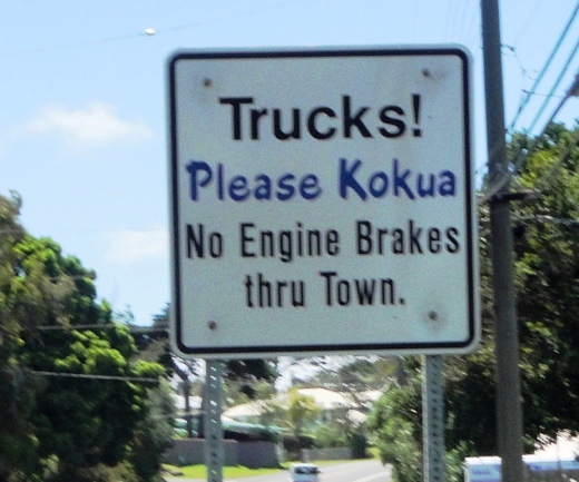unique Hawaii road sign